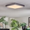 Salmi Lampa sufitowa, Panel LED Szary, Srebrny, 1-punktowy