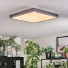 Salmi Lampa sufitowa, Panel LED Szary, Srebrny, 1-punktowy