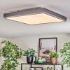 Salmi Lampa sufitowa, Panel LED Szary, Srebrny, 1-punktowy