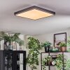 Salmi Lampa sufitowa, Panel LED Szary, Srebrny, 1-punktowy