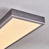 Salmi Lampa sufitowa, Panel LED Szary, Srebrny, 1-punktowy