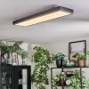 Salmi Lampa sufitowa, Panel LED Szary, Srebrny, 1-punktowy
