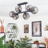 Koyoto lampa sufitowa, kula świetlna przydymiony, 6-punktowe