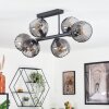 Koyoto lampa sufitowa, kula świetlna przydymiony, 6-punktowe