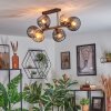 Koyoto lampa sufitowa, kula świetlna bursztynowy, przydymiony, 6-punktowe