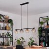 Ripoll lampa wisząca, kula świetlna, lampa wisząca bursztynowy, przezroczysty, przydymiony, 4-punktowe