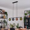 Gastor Lampa wisząca, Kula świetlna, Lampa wisząca Niebeieski, Zielony, W kolorze miedzi, 4-punktowe