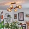 Koyoto lampa sufitowa, kula świetlna bursztynowy, przezroczysty, 6-punktowe