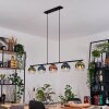 Koyoto lampa wisząca, kula świetlna, lampa wisząca niebeieski, zielony, przezroczysty, miedziany, 5-punktowe