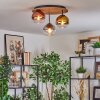 Koyoto lampa sufitowa, kula świetlna 40 cm brązowy, wygląd drewna, czarny, 3-punktowe