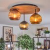 Koyoto Lampa sufitowa, Kula świetlna 40 cm Brązowy, Wygląd drewna, Czarny, 3-punktowe