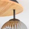 Ripoll lampa sufitowa, kula świetlna kolory naturalne, czarny, 3-punktowe