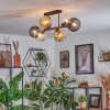 Koyoto lampa sufitowa, kula świetlna bursztynowy, przezroczysty, przydymiony, 6-punktowe