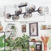 Koyoto Lampa sufitowa, Kula świetlna Przezroczysty, Przydymiony, 10-punktowe