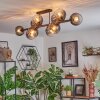 Koyoto Lampa sufitowa, Kula świetlna Przezroczysty, Przydymiony, 10-punktowe