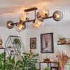 Koyoto lampa sufitowa, kula świetlna bursztynowy, przezroczysty, przydymiony, 10-punktowe