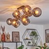 Koyoto lampa sufitowa, kula świetlna przydymiony, 10-punktowe