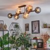 Koyoto Lampa sufitowa, Kula świetlna W kolorze bursztynu, Przezroczysty, Przydymiony, 10-punktowe