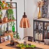 Naipa Lampa Wisząca Miedź, 1-punktowy