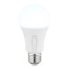 Oświetlenie Globo E27 9 Watt światło dzienne 830 Lumen