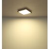 Oświetlenie Globo Fitzpatrick Lampa sufitowa LED Czarny, 1-punktowy