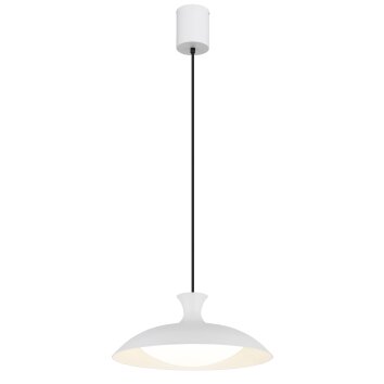 Oświetlenie Globo Rocha Lampa wisząca LED Biały, 1-punktowy