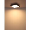 Oświetlenie Globo Doro Lampa sufitowa LED Szary, Srebrny, 1-punktowy