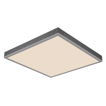 Oświetlenie Globo Doro Lampa sufitowa LED Szary, Srebrny, 1-punktowy, Zdalne sterowanie