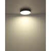 Oświetlenie Globo Doro Lampa sufitowa LED Szary, Srebrny, 1-punktowy, Zdalne sterowanie