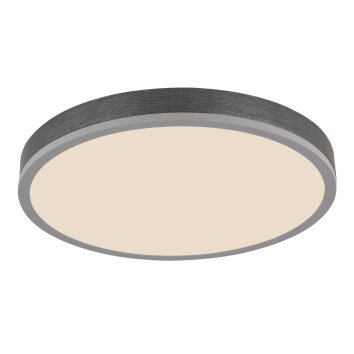 Oświetlenie Globo Doro Lampa sufitowa LED Szary, Srebrny, 1-punktowy, Zdalne sterowanie