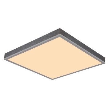 Oświetlenie Globo Doro Lampa sufitowa LED Szary, Srebrny, 1-punktowy