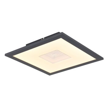 Oświetlenie Globo Doro Lampa sufitowa LED Srebrny, Biały, 1-punktowy