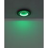 Oświetlenie Globo Jayden Lampa sufitowa LED Czarny, 1-punktowy, Zdalne sterowanie, Zmieniacz kolorów
