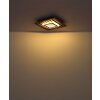 Oświetlenie Globo Woody Lampa sufitowa LED Ecru, Czarny, 1-punktowy
