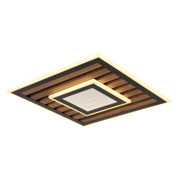 Oświetlenie Globo Woody Lampa sufitowa LED Ecru, Czarny, 1-punktowy