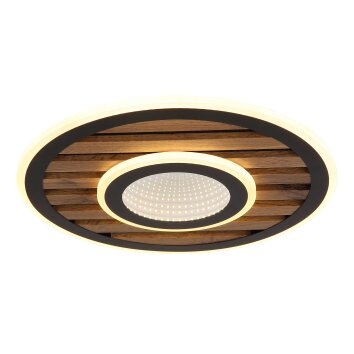 Oświetlenie Globo Woody Lampa sufitowa LED Ecru, Czarny, 1-punktowy