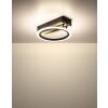 Oświetlenie Globo Blevins lampa sufitowa LED kolory naturalne, czarny, 1-punktowy