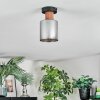 Mador Lampa sufitowa Ecru, Czarny, 1-punktowy