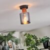 Mador Lampa sufitowa Ecru, Czarny, 1-punktowy