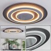 Lidor Lampa sufitowa LED Czarny, 1-punktowy
