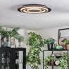 Lidor Lampa sufitowa LED Czarny, 1-punktowy