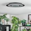 Lidor Lampa sufitowa LED Czarny, 1-punktowy