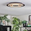 Lidor Lampa sufitowa LED Czarny, 1-punktowy