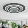 Lidor Lampa sufitowa LED Czarny, 1-punktowy