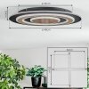 Lidor Lampa sufitowa LED Czarny, 1-punktowy