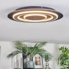 Lidor Lampa sufitowa LED Czarny, 1-punktowy