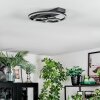 Pilor Lampa sufitowa LED Czarny, 1-punktowy, Zdalne sterowanie