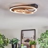 Pilor Lampa sufitowa LED Czarny, 1-punktowy, Zdalne sterowanie