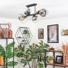 Koyoto Lampa sufitowa, Kula świetlna W kolorze bursztynu, Przezroczysty, Przydymiony, 6-punktowe