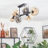 Ripoll Lampa sufitowa, Kula świetlna W kolorze bursztynu, Przezroczysty, Przydymiony, 8-punktowe